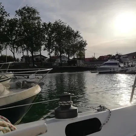 Insolite Sur Un Voilier à Anglet